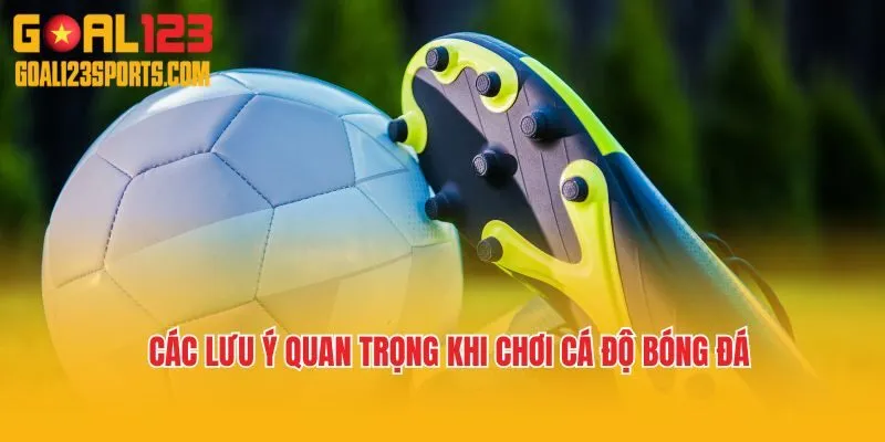 Các lưu ý quan trọng khi chơi cá độ bóng đá