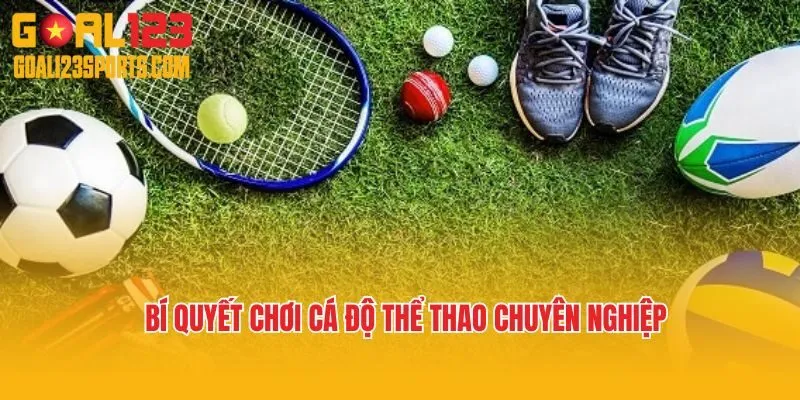 Bí quyết chơi cá độ thể thao chuyên nghiệp