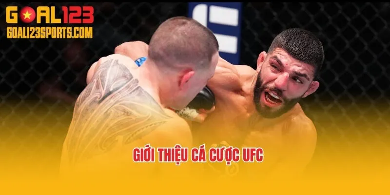 Giới thiệu cá cược UFC