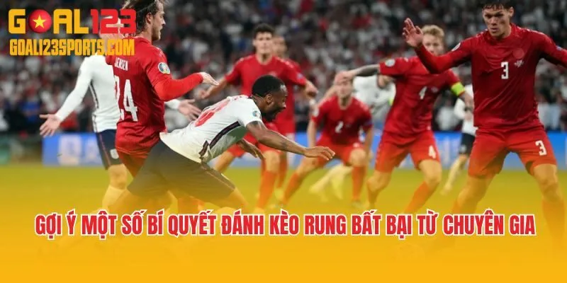 Gợi ý một số bí quyết đánh kèo rung bất bại từ chuyên gia 