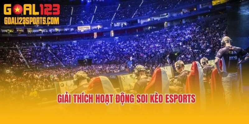 Giải thích hoạt động soi kèo Esports